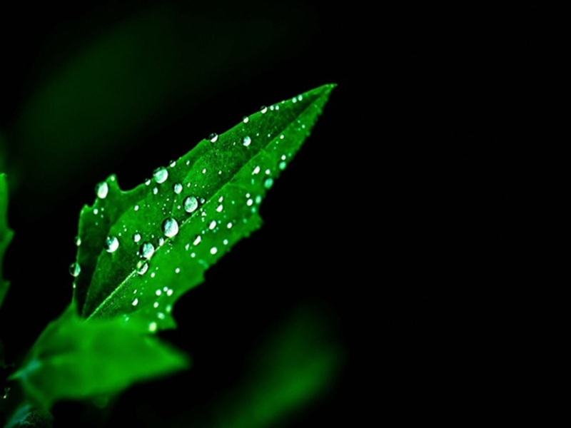 أجدد 10 خلفيات لمحبي التصميم